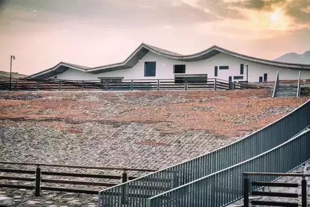 最美银杏秋景自驾攻略,杭州银杏树旅游攻略