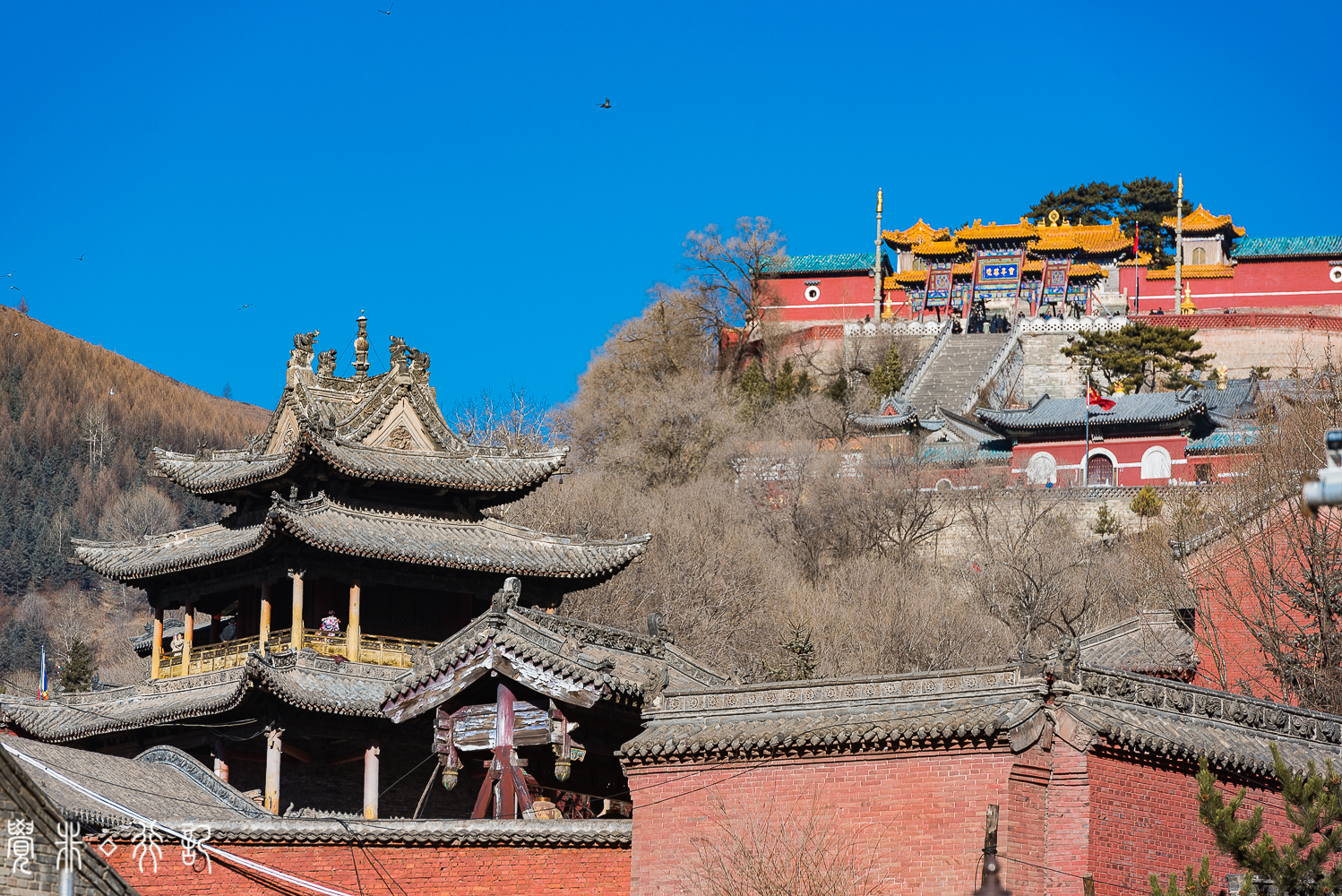 文殊菩萨的道场是哪个佛教名山,文殊菩萨最大的寺院在哪里