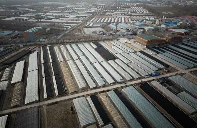 安徽90后萝卜西施,90后豆腐西施月入过万