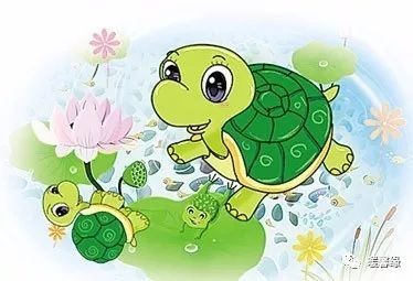 我家养只大肥猫,我家养只看门狗儿歌