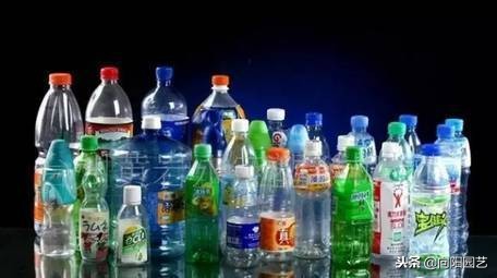 空酒瓶创意改造盆栽,室内盆栽植物专用瓶