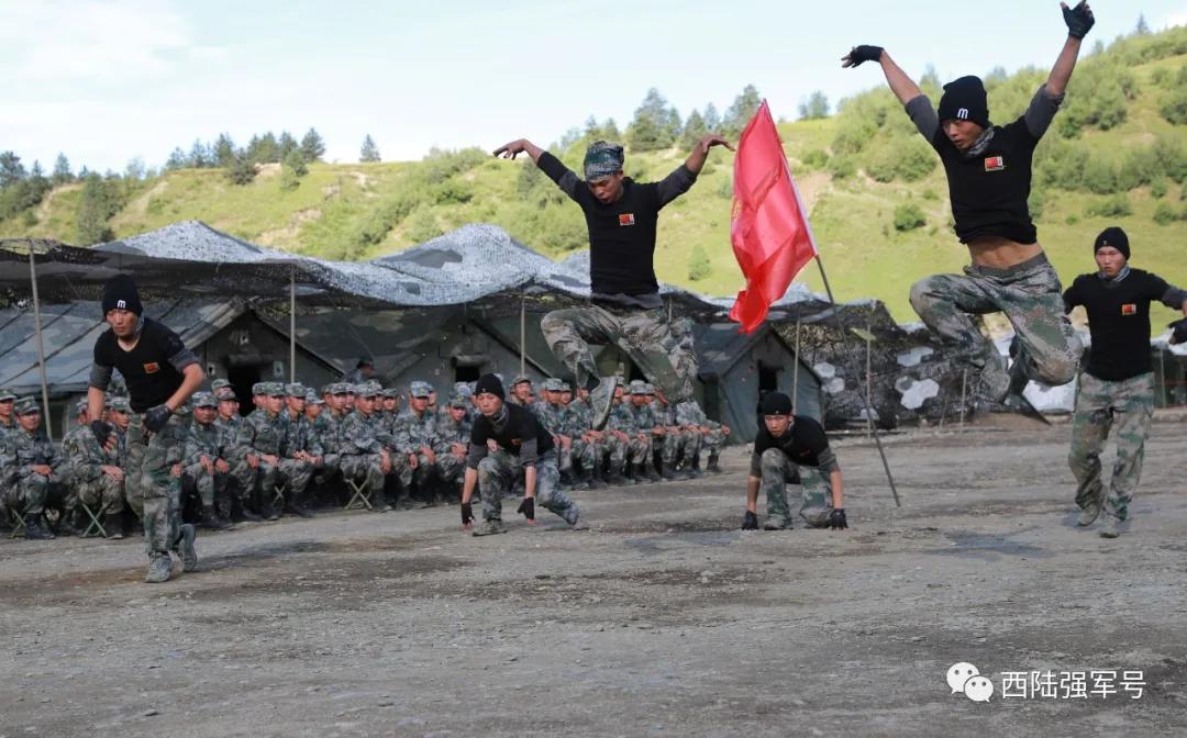 西南猎豹豹头,西南猎豹高原