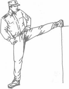 中国擒拿术擒拿十八法全教程,擒拿术基本功训练