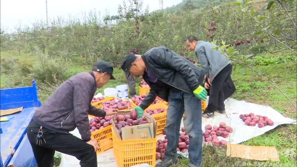 走向我们的小康生活广西,走向我们的小康生活甘肃