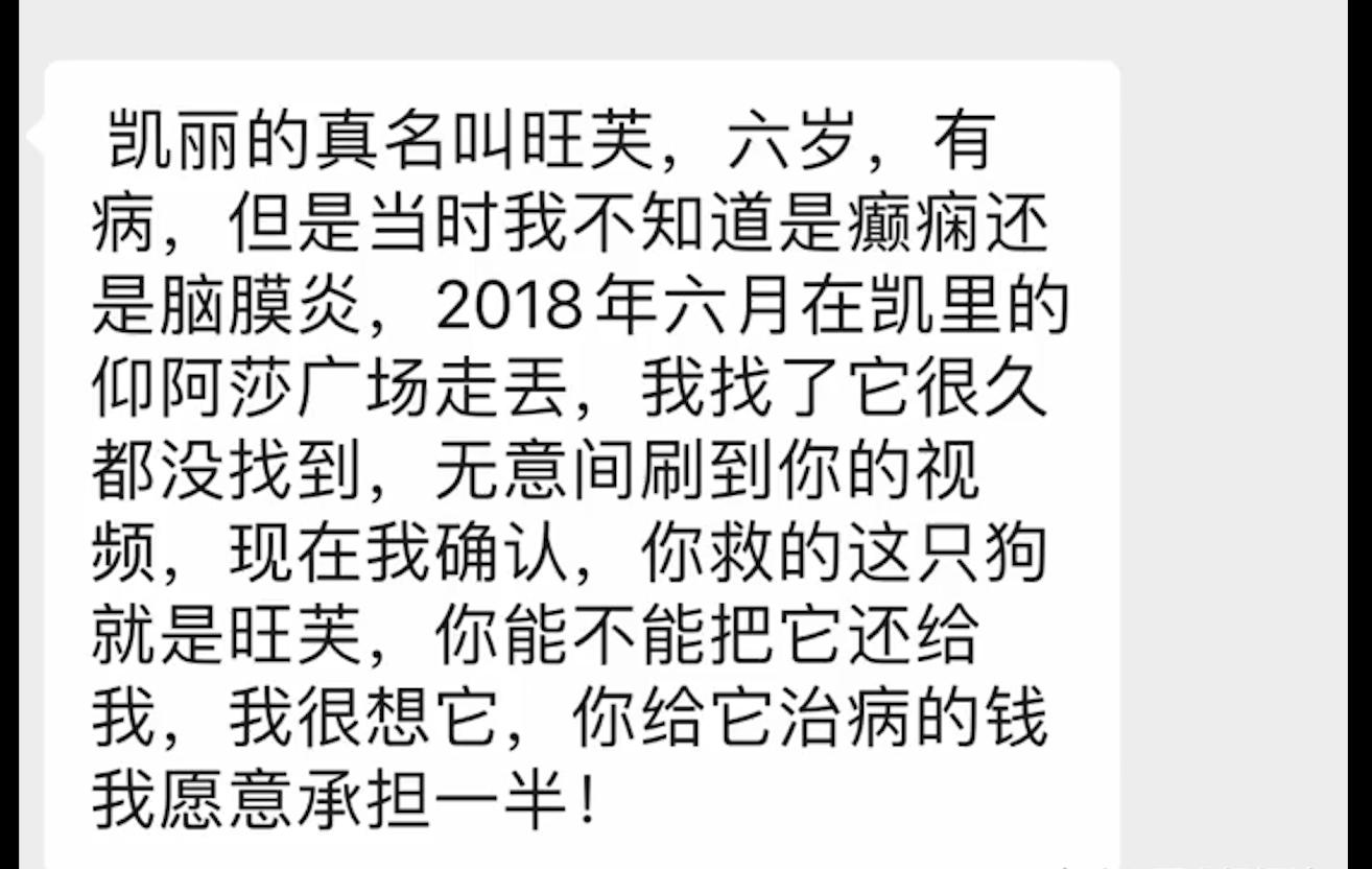 金毛癫痫自愈,金毛被好心人救