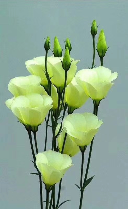 7080后的恋爱故事,70后谈恋爱历史