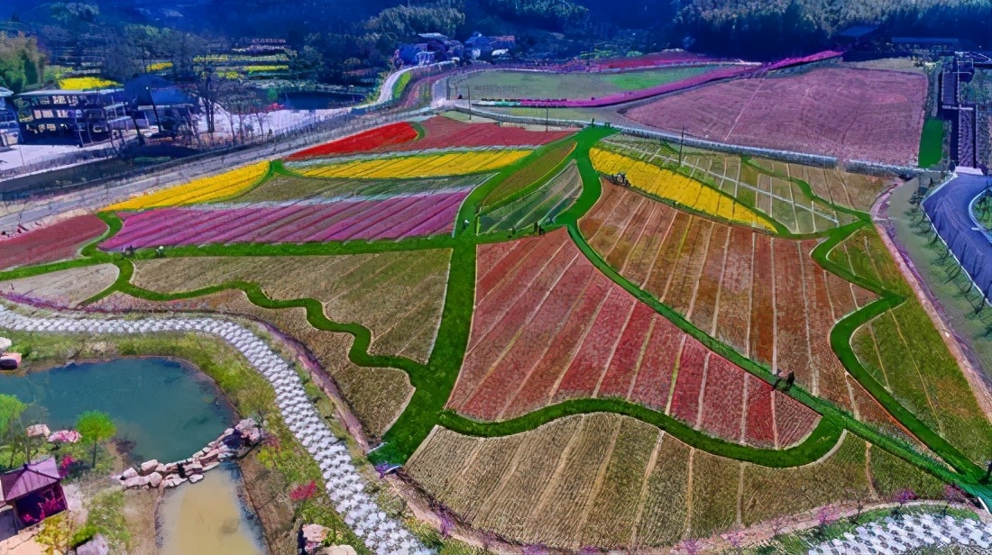 九江哪个地方有花海,江西九江花海