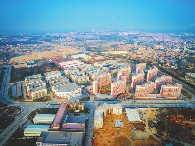 筑巢引燕归产业增活力,筑巢引凤返乡