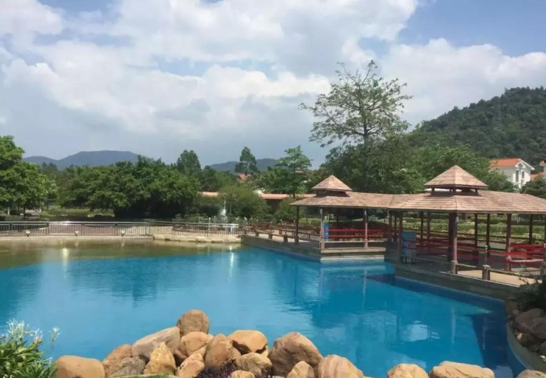 去云南哪里泡温泉最好,云南必去十大景区推荐