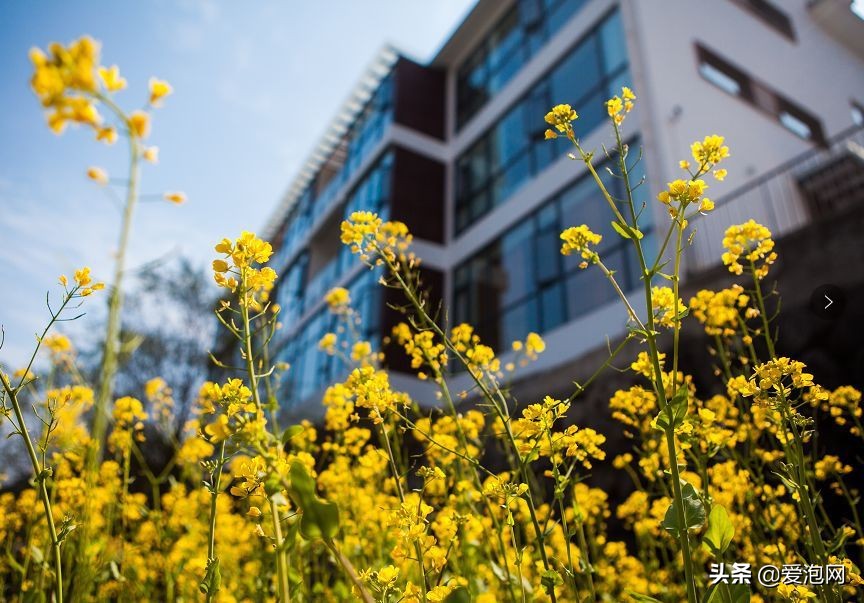 浙江松阳乡里办的民宿,松阳比较出名的民宿