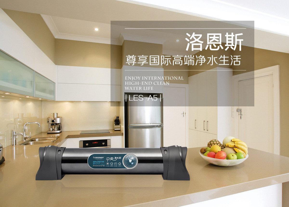 进口净水器哪个品牌性价比高,洛恩斯净水器哪一款好