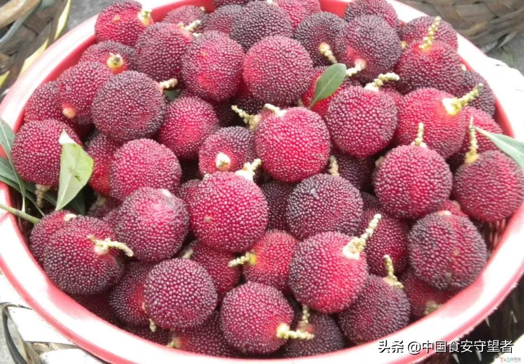 家里杨梅怎么储存,销售杨梅的保鲜储存方法