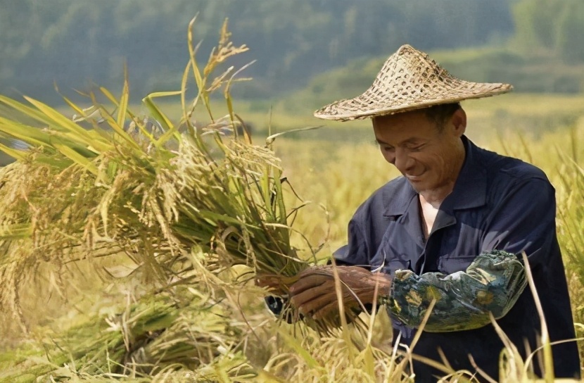 为什么说穷死不耕丈人田,饿死不耕丈人田是什么意思