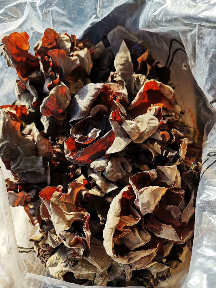 20201101惊悚之行~首阳山大坪梁单日横穿+原返