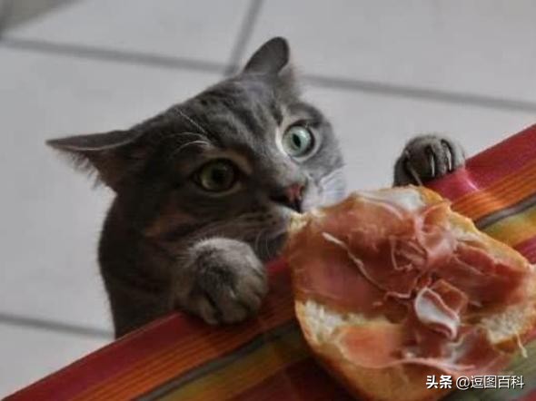 高铁可以在前一个站坐车么,高铁坐过站出得去吗