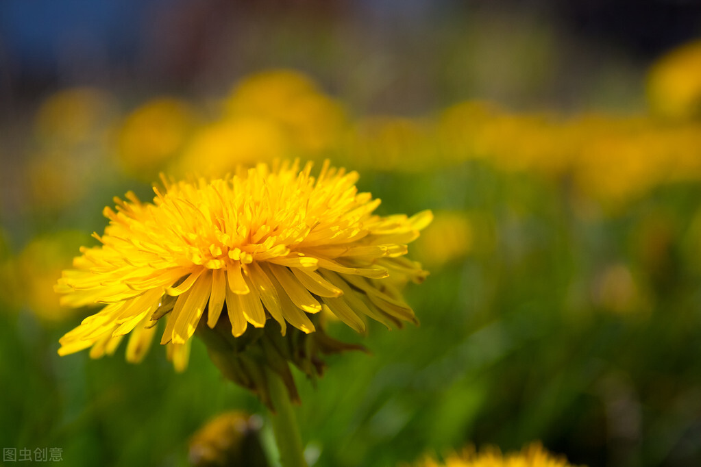 适合发朋友圈的经典文案句子配图,一些适合发朋友圈的简短文案