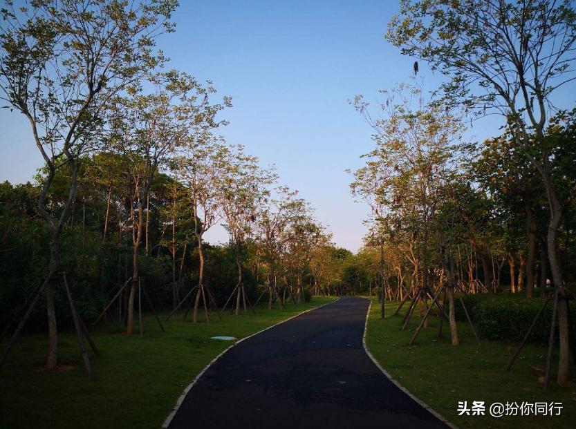 一个充满生活情调的鹭岛城市厦门,鹭岛的小清新带给你什么感受