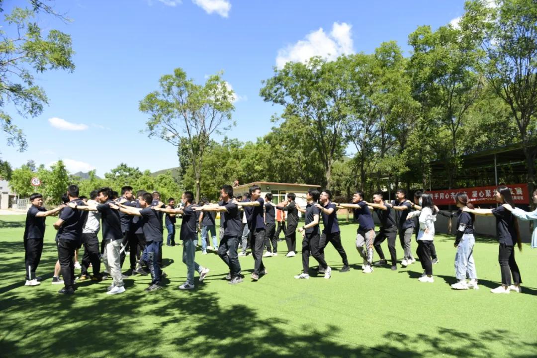 凌阳科技有限公司,凌阳科技单片机