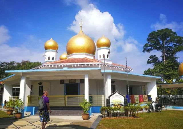 马来西亚之旅非常愉快,大玲子带爸妈去旅行马来西亚