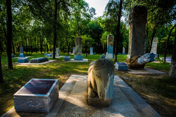 北京奥林匹克公园管委会主任,奥林匹克委员会采访