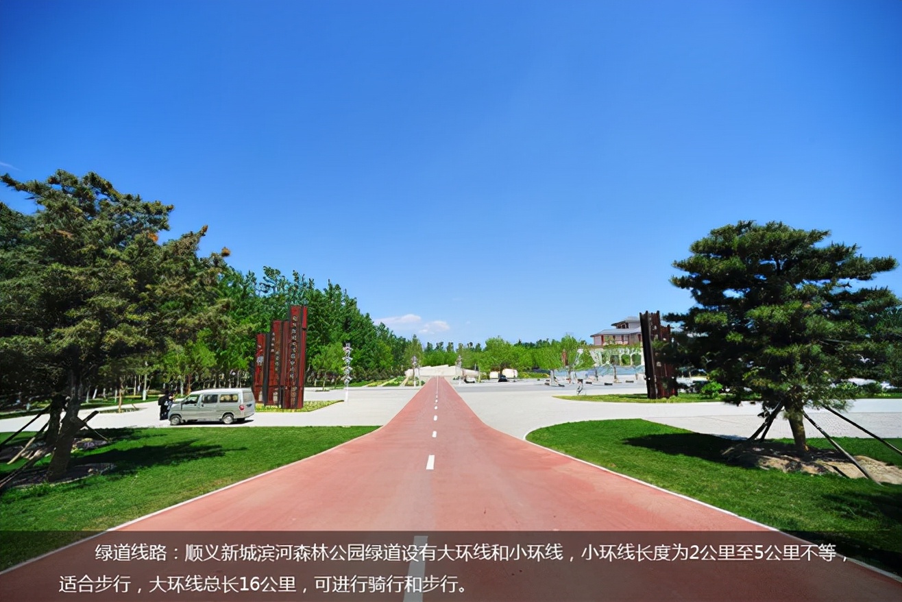 顺义滨河森林公园景观,顺义新城滨河森林公园抖音团购