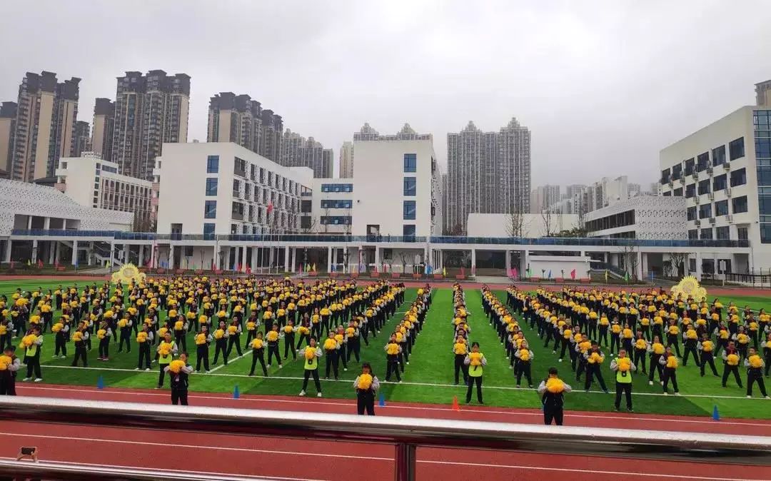 成都经济缺点,经济发展短板弱项