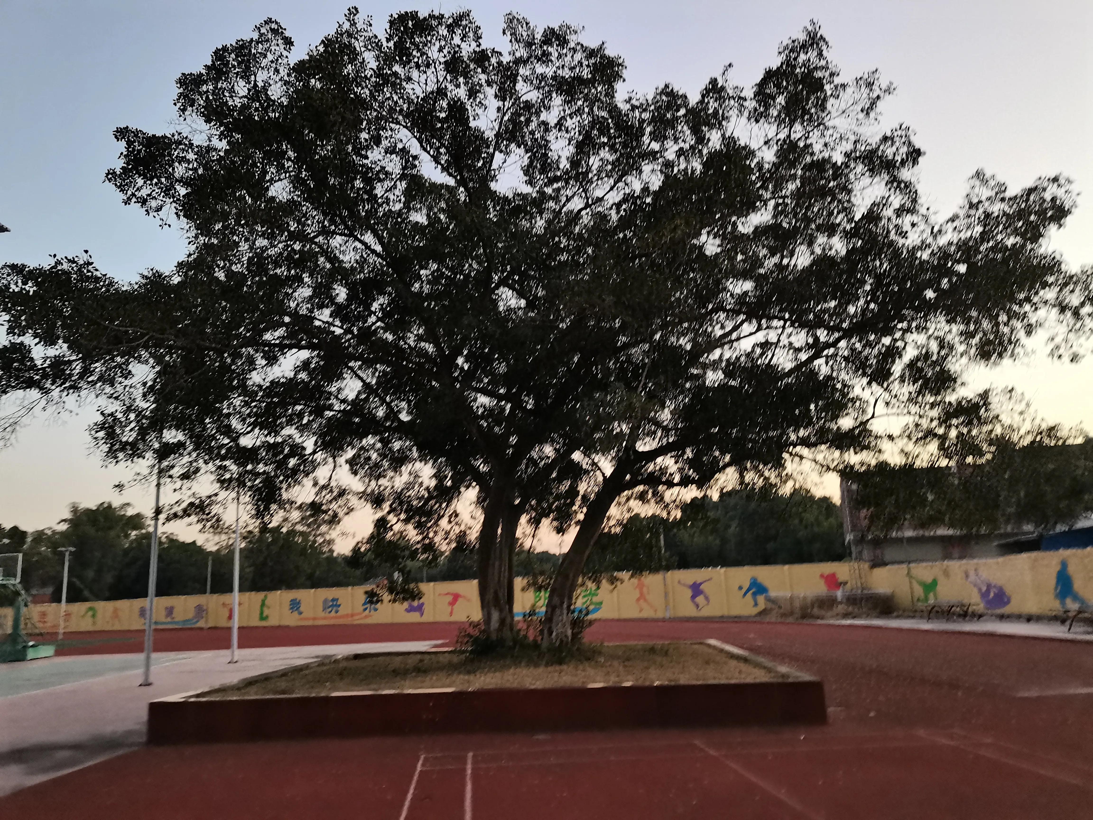 乌中,黄昏即景开头