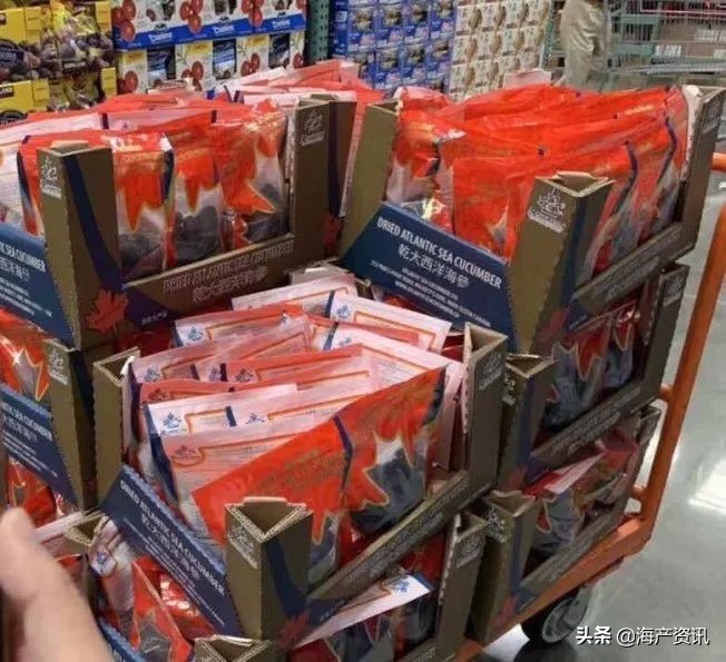 加拿大进口即食海参,加拿大即食海参500g6只左右