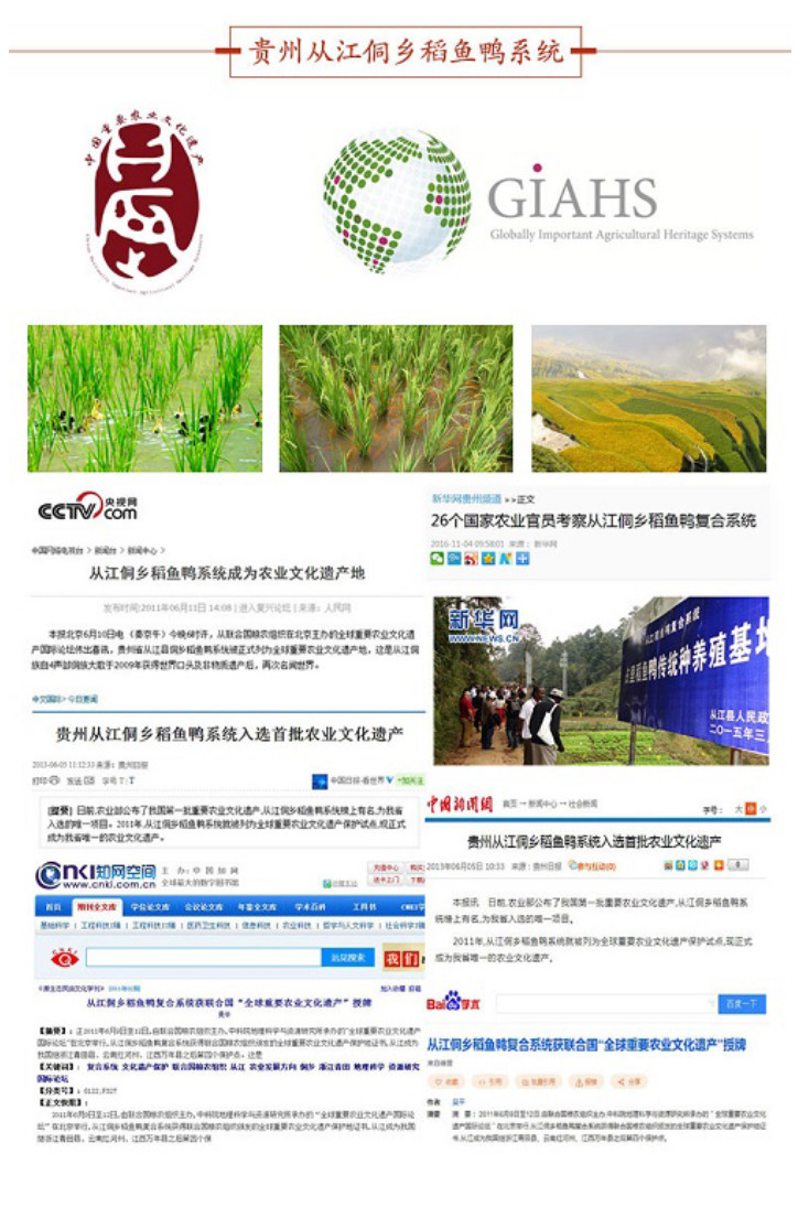 胭脂米多少钱一斤,胭脂红米