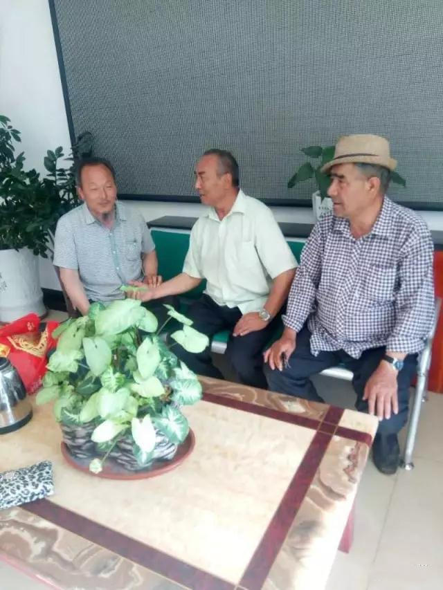 中国当代最具影响力的中医,中国新时代国医大师