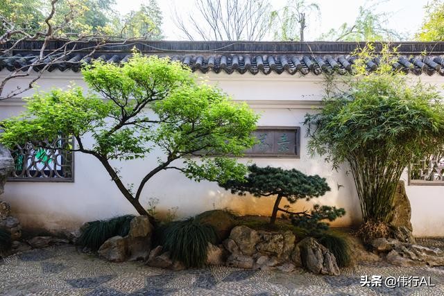 苏州园林之留园中国四大名园之一,苏州园林之美