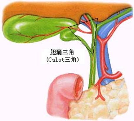 微创胆囊切除后伤口多久彻底愈合,胆囊切除是小手术吗