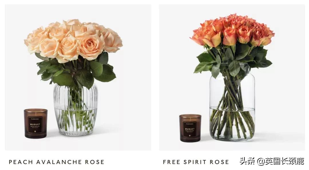 情人节来了怎么少的了fafa？英国鲜花速递服务大盘点：浪漫满分