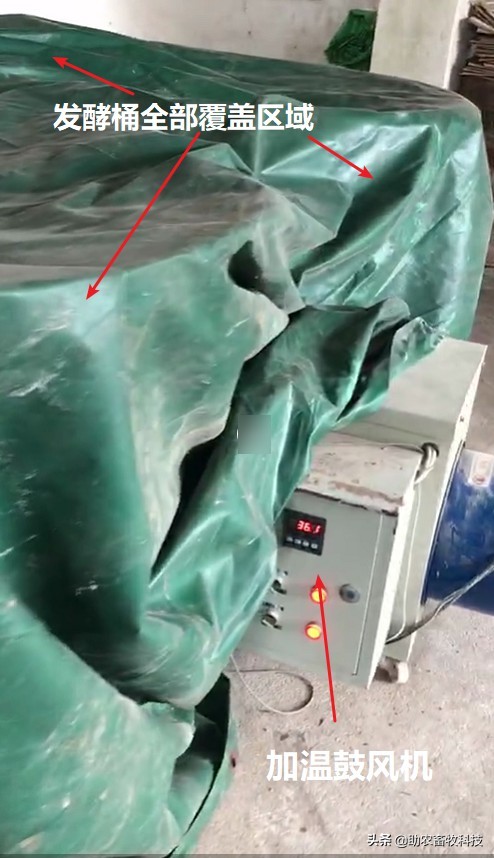 发酵中草药将成为防控非洲猪瘟的有力军，成本低效果肯定大量案例