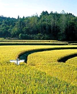 田间趣事完整视频,童年趣事下塘摸鱼