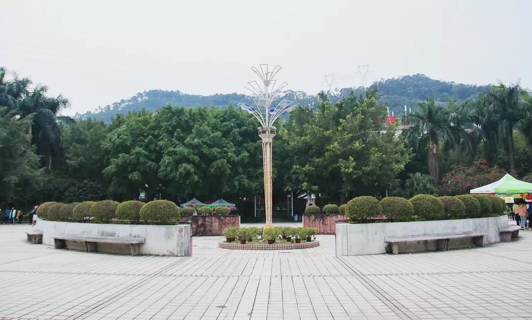 广东中职升本科院校,广东开放大学专科升本科的条件