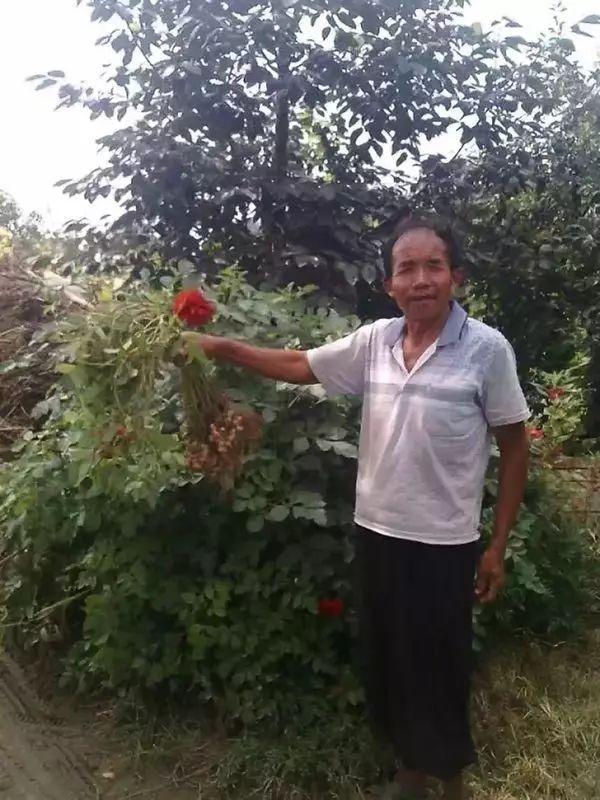 你可以走得慢一点但你一定要努力,你可以慢一点但一定要努力