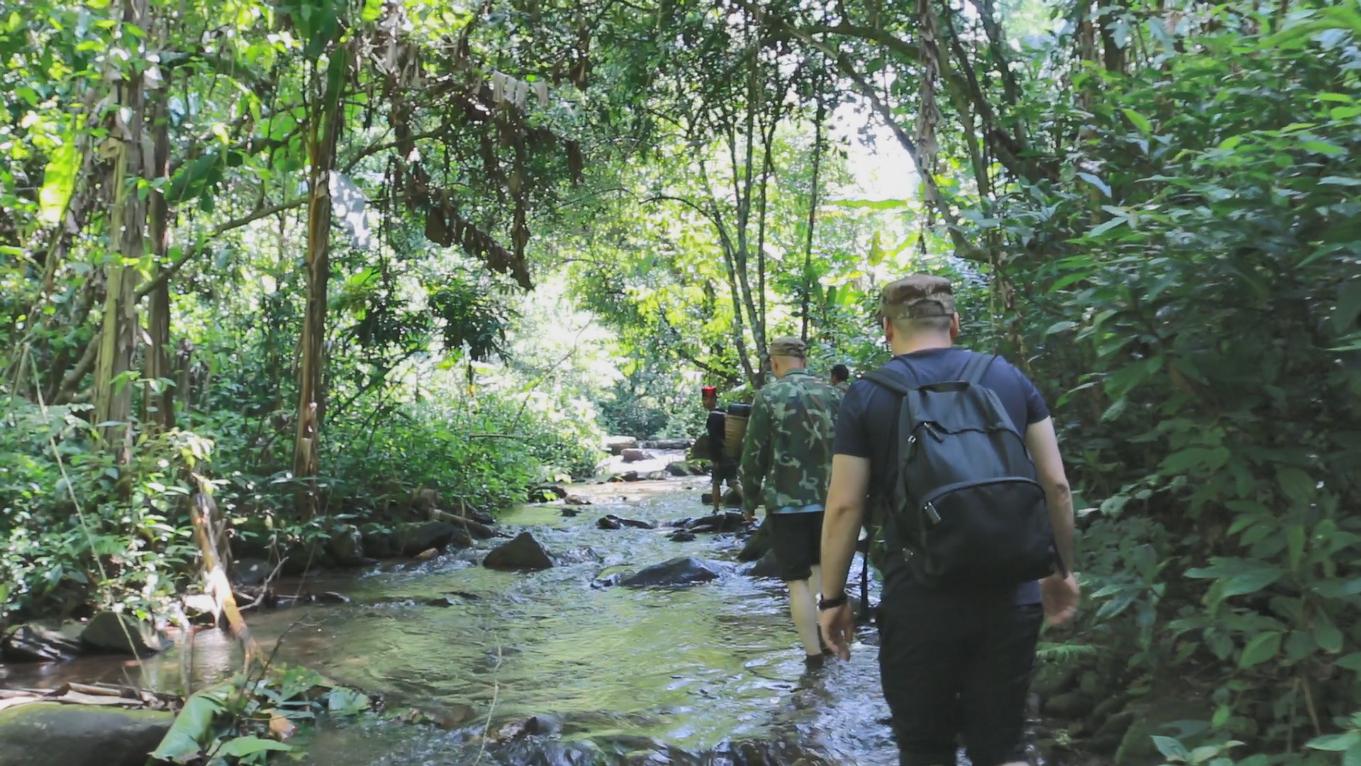 新茶上市快来选购吧,教你如何正确选购新茶