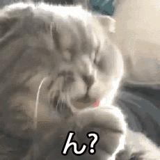 问别人怎么了,只会说whatsup?这些才是老外常用的说法