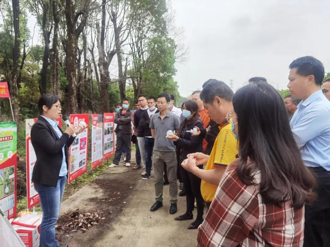 南沙|@东涌街坊,专家建议,红火蚁得这样治