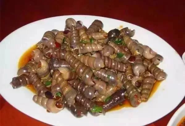 海陆丰原来跟潮汕有这关系