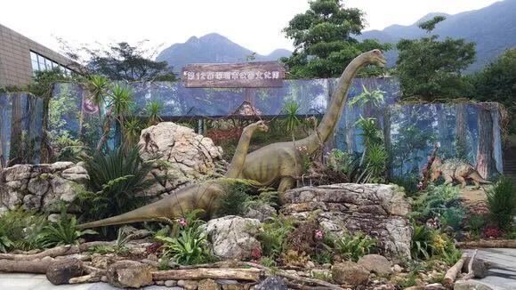 深圳适合小朋友好玩的地方推荐,深圳十个值得带孩子玩的地方