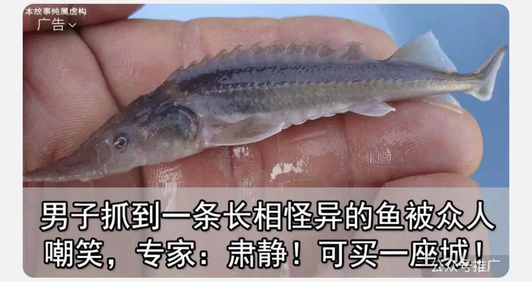 中国的克苏鲁，隐藏在微信的小广告里