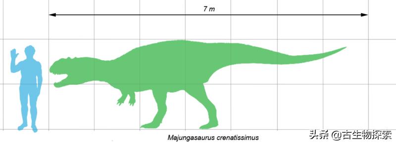 古生物学家的发现,发现新的巨型食肉恐龙物种