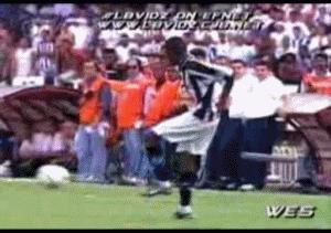 大罗的钟摆用过几次,大罗的钟摆