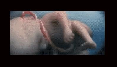 胎儿在妈妈肚子里干什么图片,胎儿在妈妈肚子里的位置变化