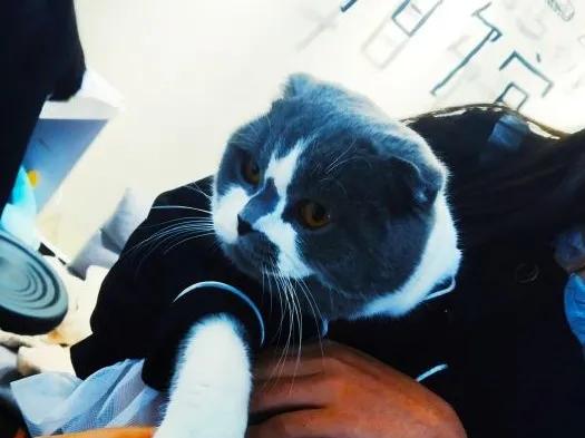 芭比娃娃的衣服博物馆,长沙换装艺术馆