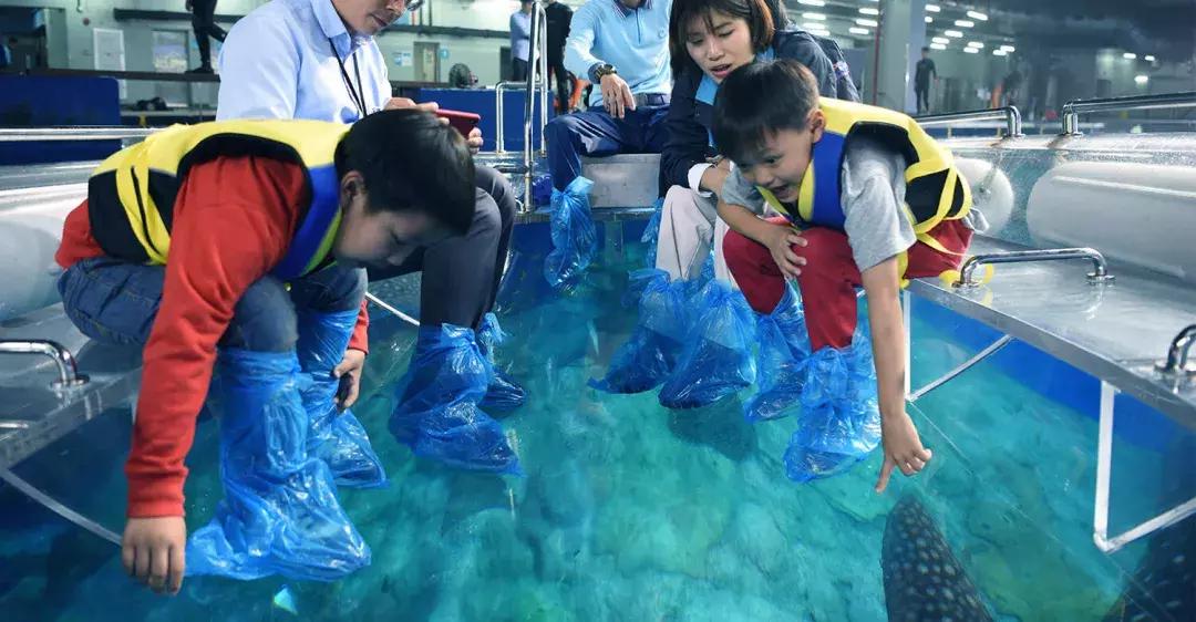 带小婴儿长隆动物园游玩攻略,亲子游玩广州熊猫酒店长隆攻略