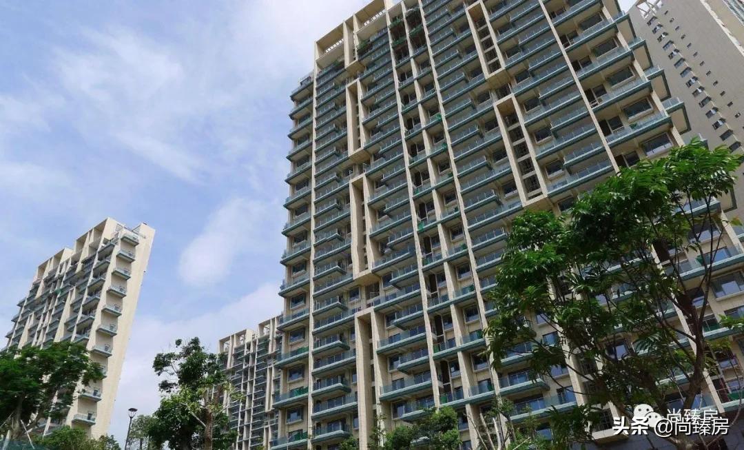 100多万人看过的房子,深圳湾三湘海尚别墅