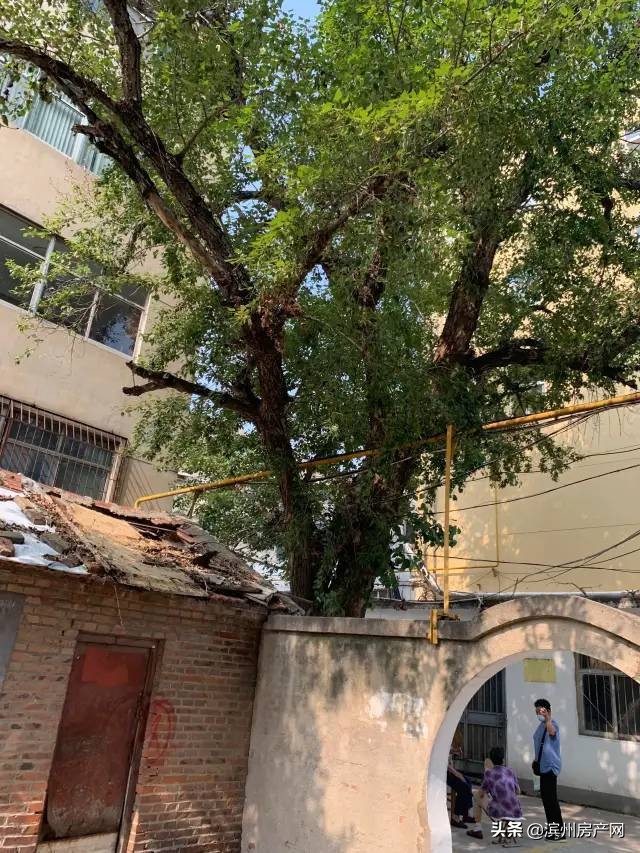 滨州金属小区拆迁,再见了滨州的视频